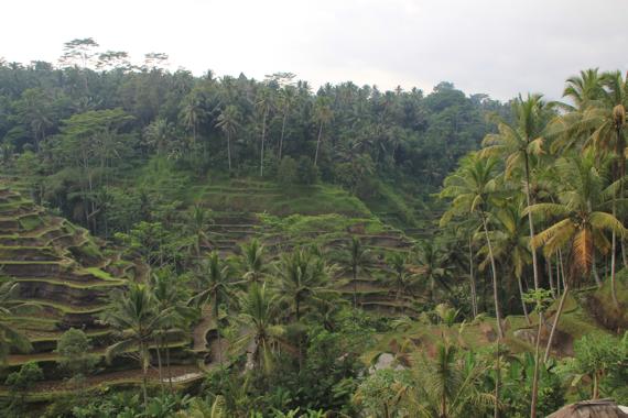 recorrer bali con guia en español en coche desde ubud