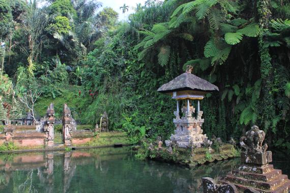 recorrer bali con guia en español en coche desde ubud