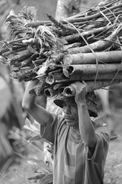 recorrer bali con guia en español en coche desde ubud