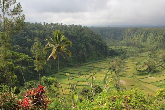 bali en un viaje a indonesia