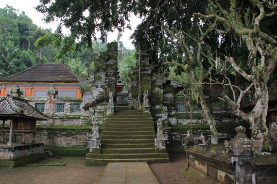 bali en un viaje a indonesia