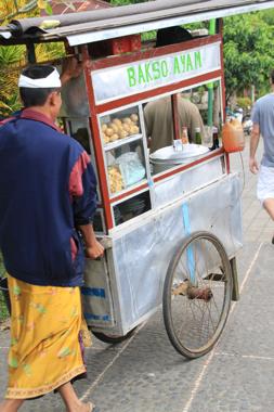 bali en un viaje a indonesia