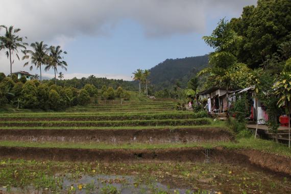 cascada git git en bali