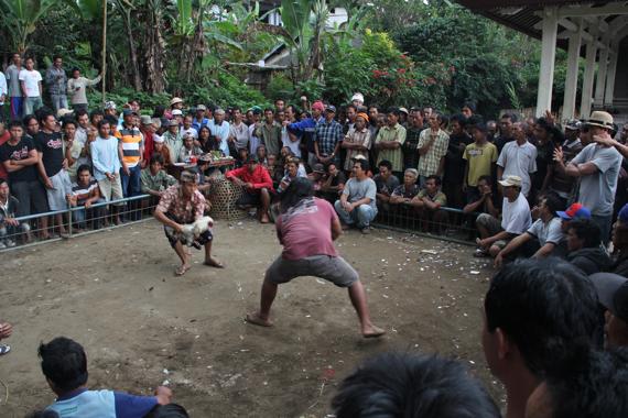 bali en un viaje a indonesia