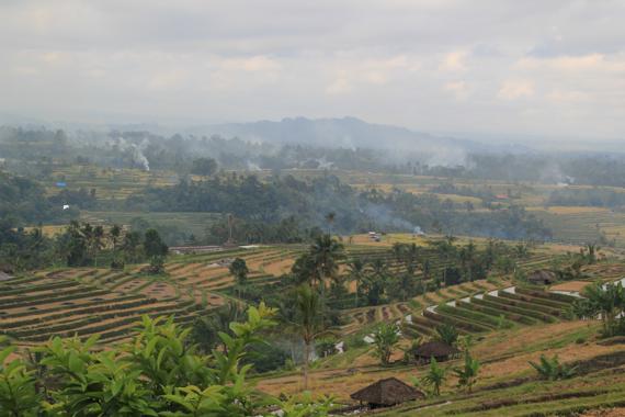 bali en un viaje a indonesia