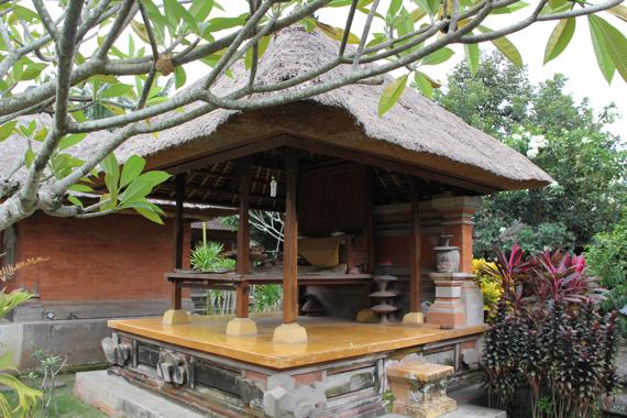 bali en un viaje a indonesia