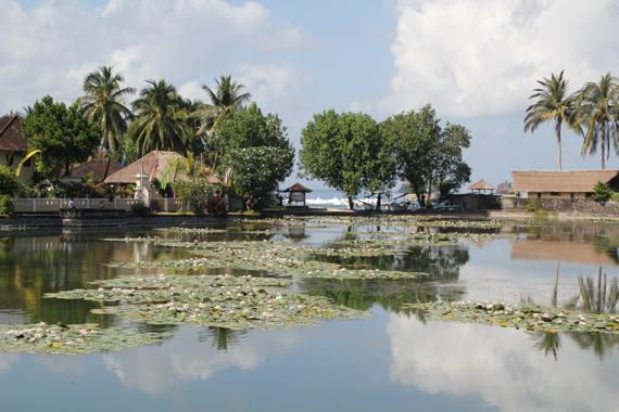 bali en un viaje a indonesia