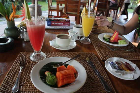 que ver en ubud en bali