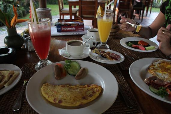 que ver en ubud en bali