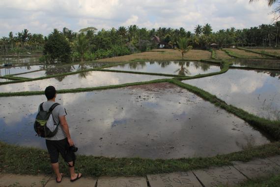 que ver en ubud en bali