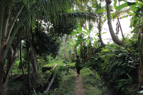 que ver en ubud en bali
