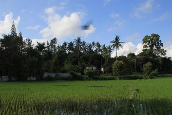 en coche por Lombok en un viaje a indonesia