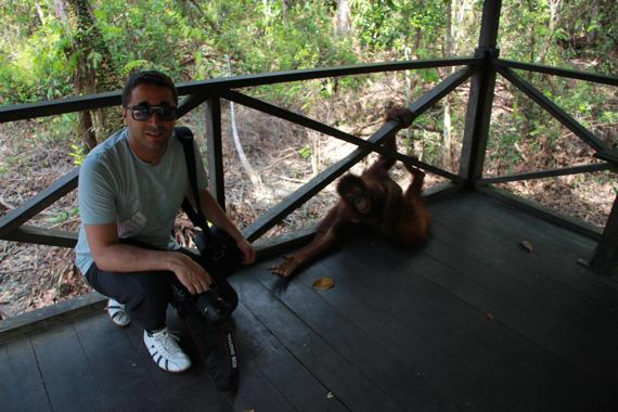 parque nacional tanjung puting de borneo