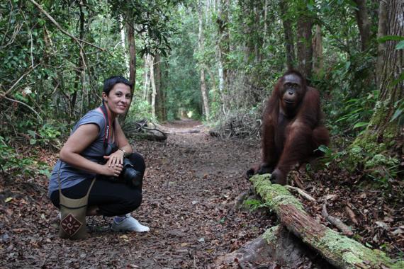 parque nacional tanjung puting de borneo
