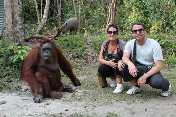 parque nacional tanjung puting de borneo