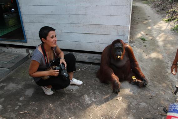 parque nacional tanjung puting de borneo