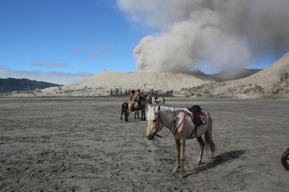 amanecer en el volcan bromo en indonesia