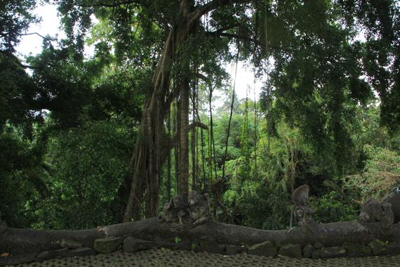 ubud en bali en un viaje a indonesia