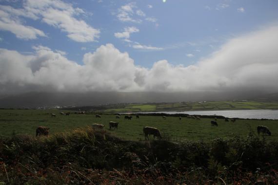 anillo de kerry en un viaje a irlanda