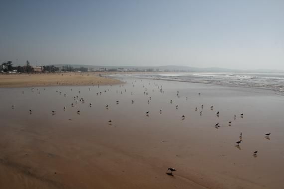 essaouira en un viaje a marruecos
