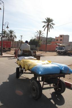 marrakech en un viaje a marruecos