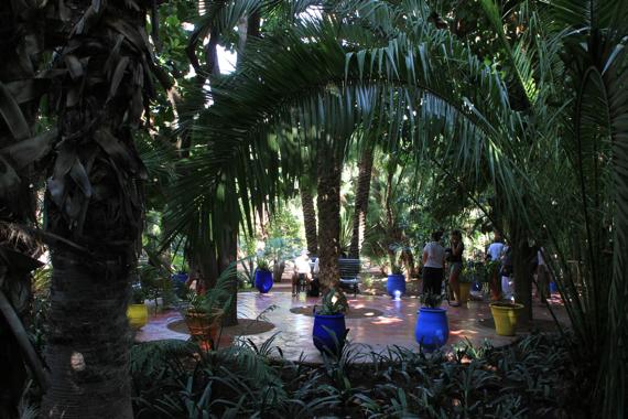 jardines majorelle en marrakech