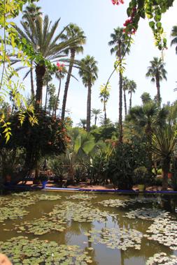 jardines majorelle en marrakech