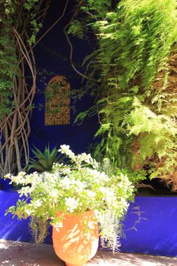 jardines majorelle en marrakech