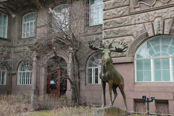 helsinki en finlandia