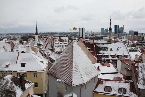 mirador de tallin