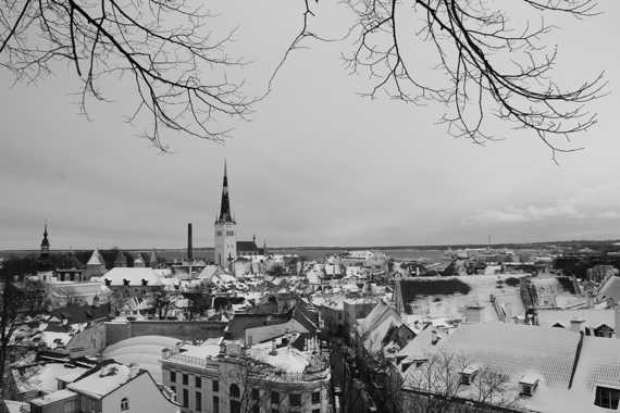 viaje a tallin