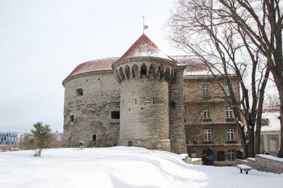 tallin nevado en Estonia