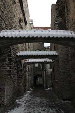 viaje a tallin