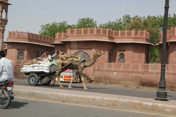 bikaner en un viaje a india