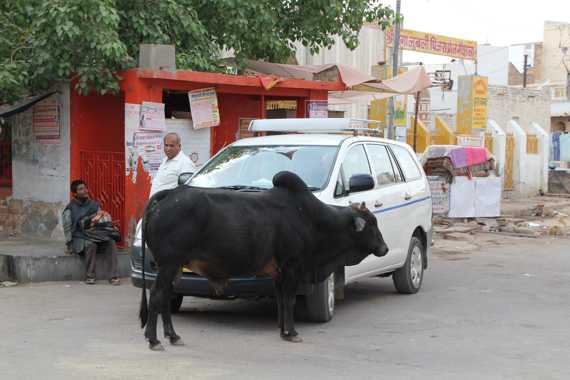bikaner en un viaje a india