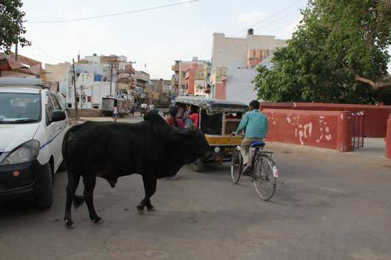 bikaner en un viaje a india