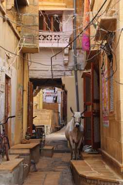 fuerte de jaisalmer en un viaje a india