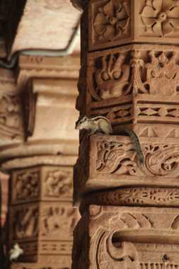 templos de osiyan en india