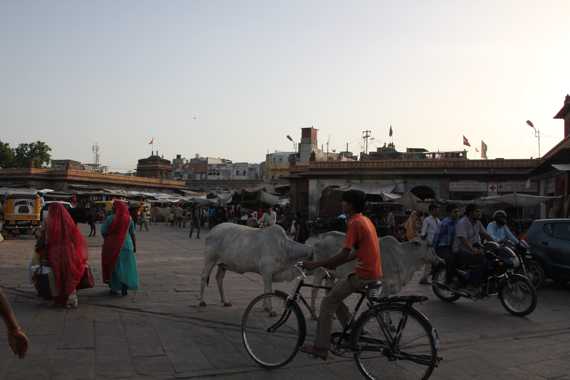 jodhpur en un viaje a india