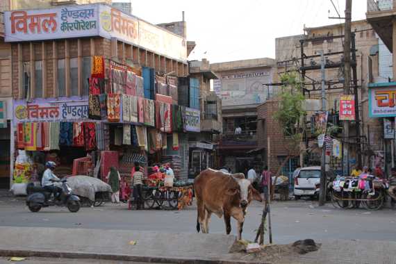 viaje a india