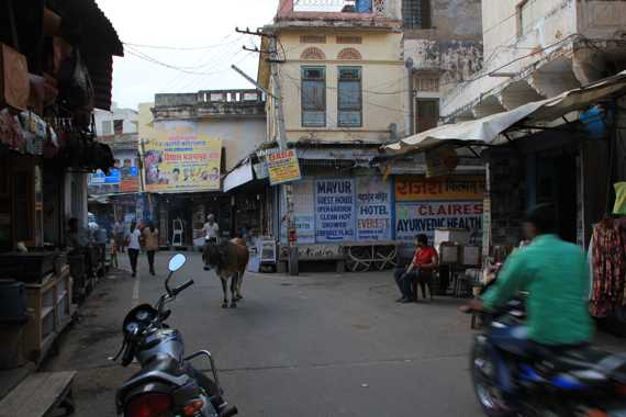 de udaipur a pushkar en coche