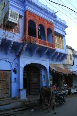 de udaipur a pushkar en coche