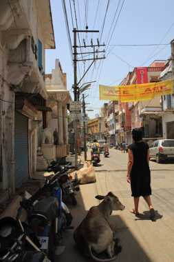viaje a india