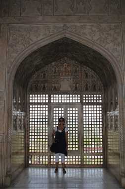 fuerte rojo de agra en un viaje a india