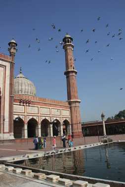 viaje a india