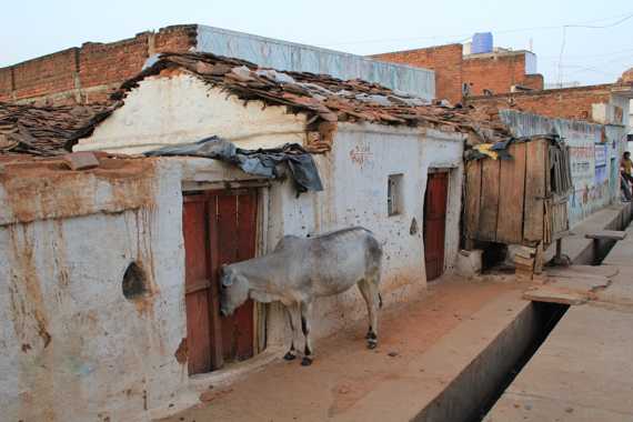 orchha en un viaje a india
