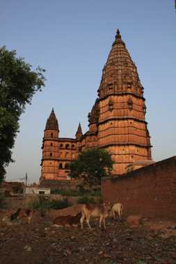 orchha en un viaje a india