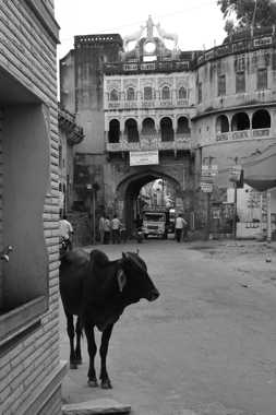 haveli en madawa en un viaje a india
