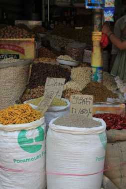 viaje a india