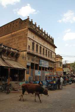viaje a india